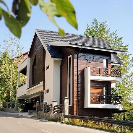 Casa Larisa Antonia Apartments Sinaia Zewnętrze zdjęcie
