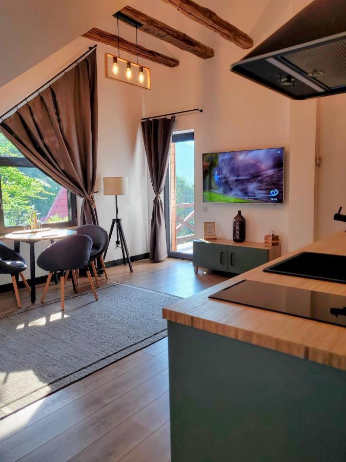 Casa Larisa Antonia Apartments Sinaia Zewnętrze zdjęcie