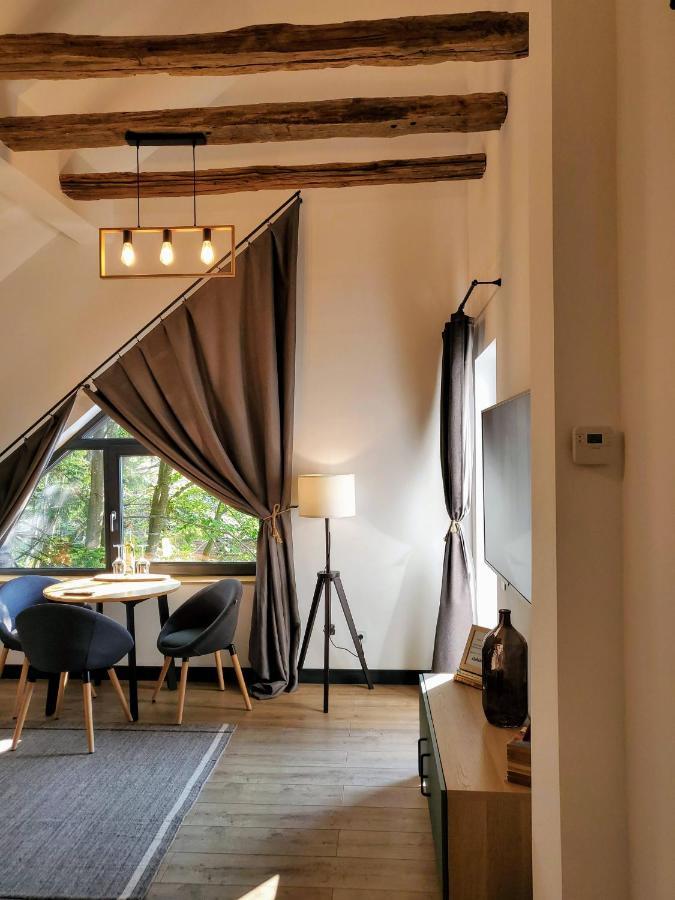 Casa Larisa Antonia Apartments Sinaia Zewnętrze zdjęcie