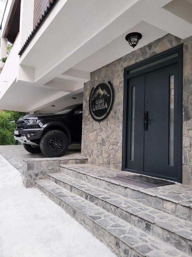 Casa Larisa Antonia Apartments Sinaia Zewnętrze zdjęcie