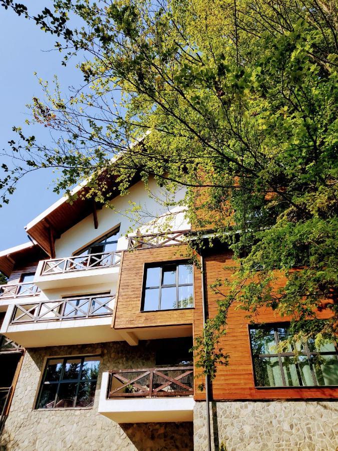 Casa Larisa Antonia Apartments Sinaia Zewnętrze zdjęcie