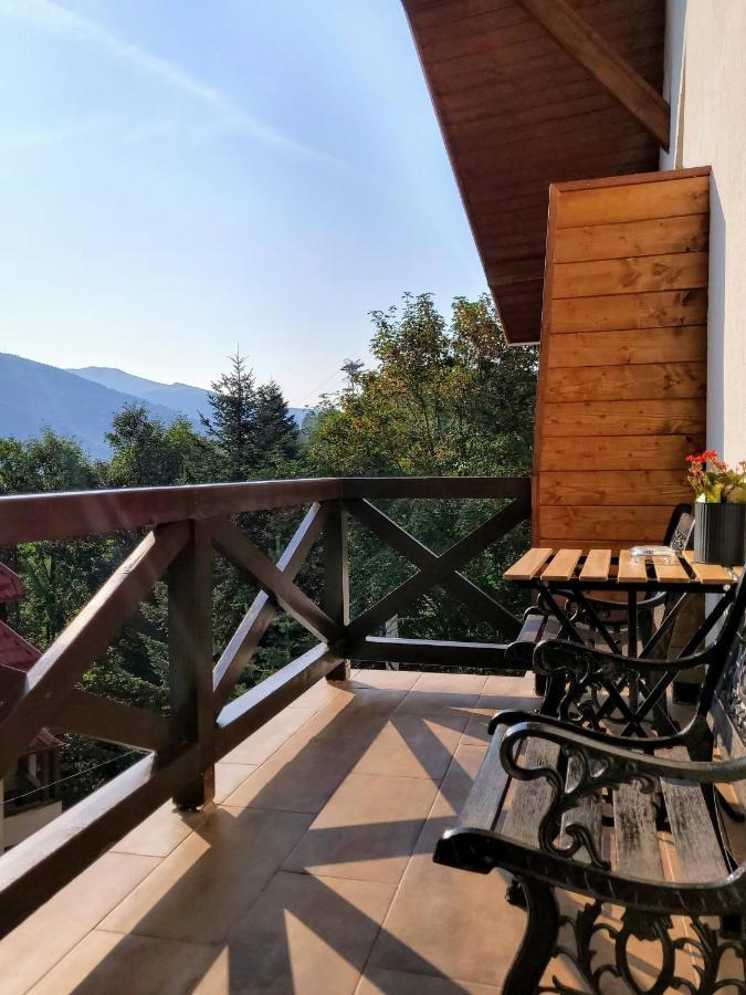 Casa Larisa Antonia Apartments Sinaia Zewnętrze zdjęcie