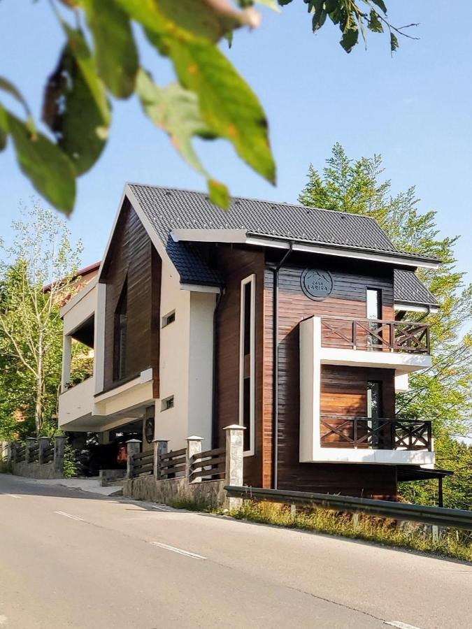 Casa Larisa Antonia Apartments Sinaia Zewnętrze zdjęcie