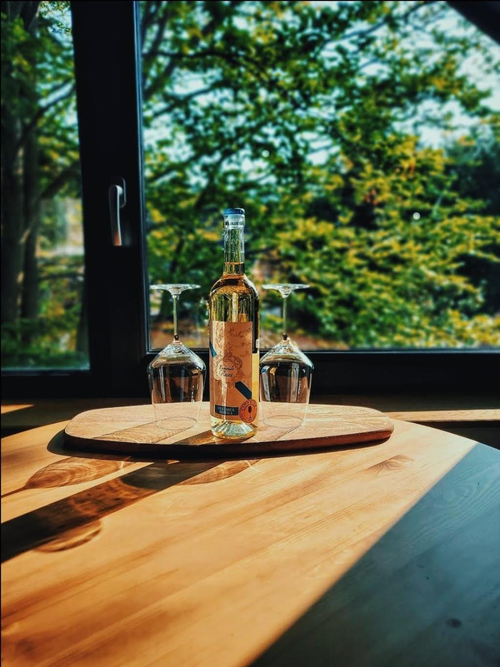 Casa Larisa Antonia Apartments Sinaia Zewnętrze zdjęcie