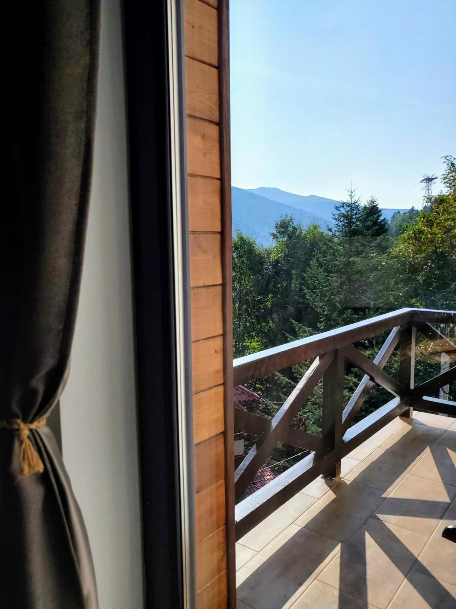 Casa Larisa Antonia Apartments Sinaia Zewnętrze zdjęcie