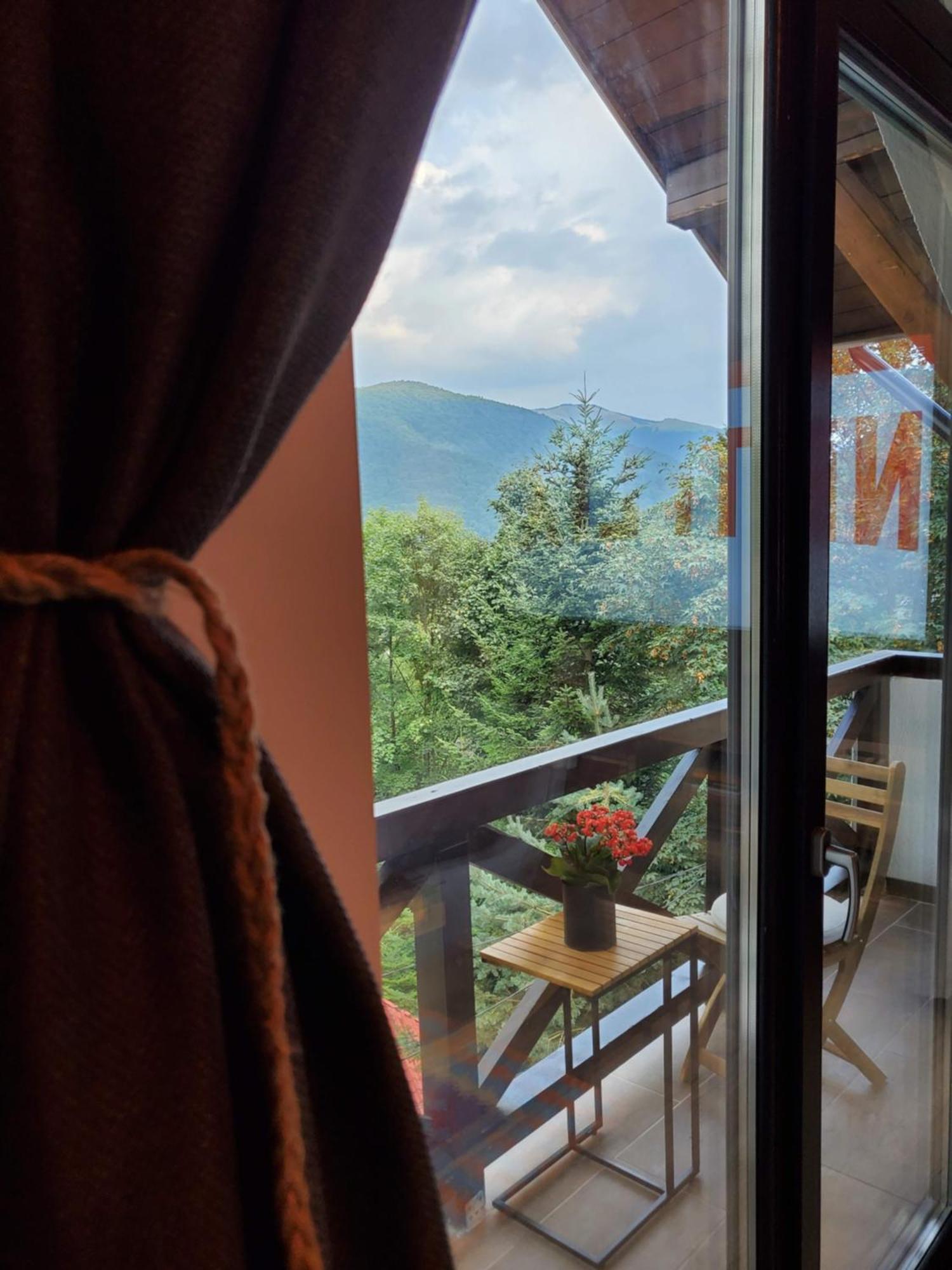 Casa Larisa Antonia Apartments Sinaia Zewnętrze zdjęcie