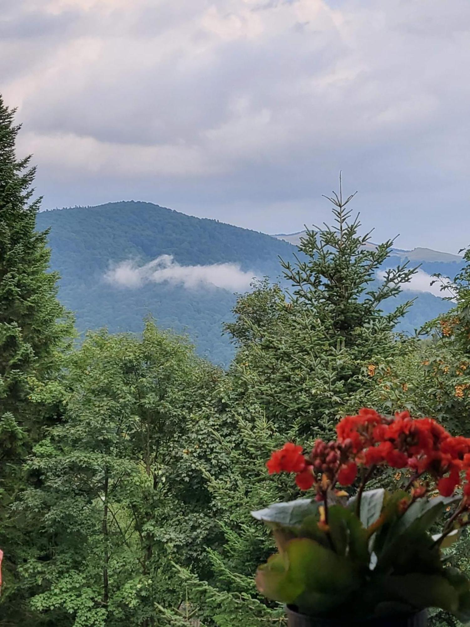 Casa Larisa Antonia Apartments Sinaia Zewnętrze zdjęcie